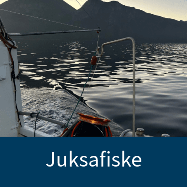 juksa fiske torsk juksafiske skrei juksablokk gummimakk juksastrikk sjokkdemper gummi makk sei 